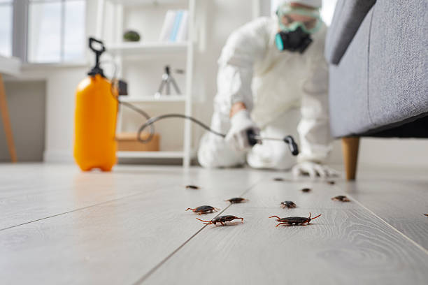 Trusted Cockroach Control service in Danville, PA - Nex Pest Control
