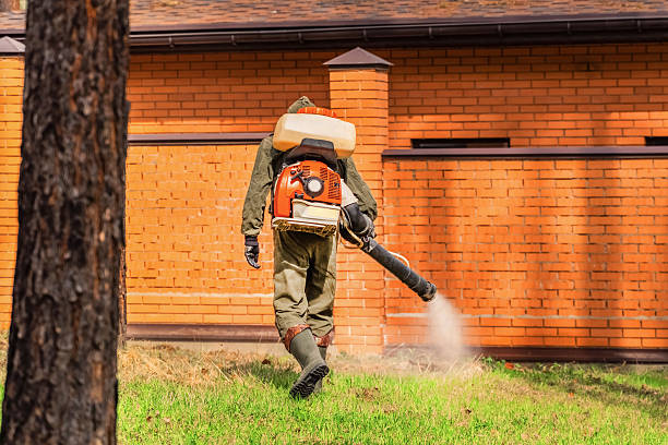 Trusted Termite Control service in Danville, PA - Nex Pest Control